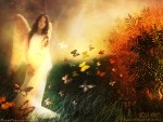 wallpapers_ru_020723_luana_lost_angel.jpg